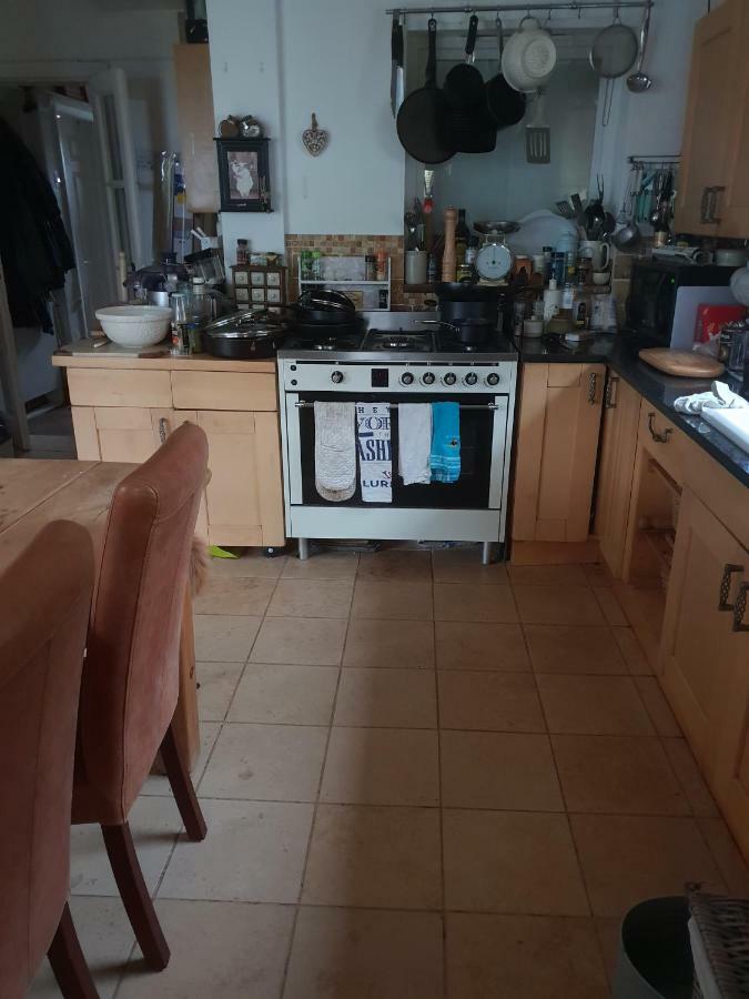 The Garden Room, Pets, Fridge Tv Честър Екстериор снимка