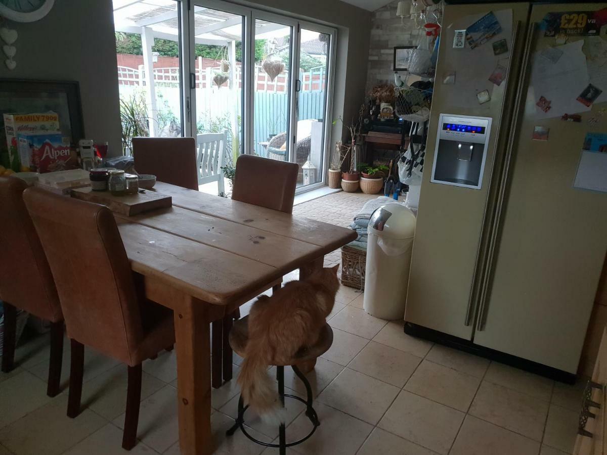 The Garden Room, Pets, Fridge Tv Честър Екстериор снимка